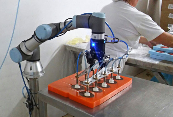 academia online universal robots w