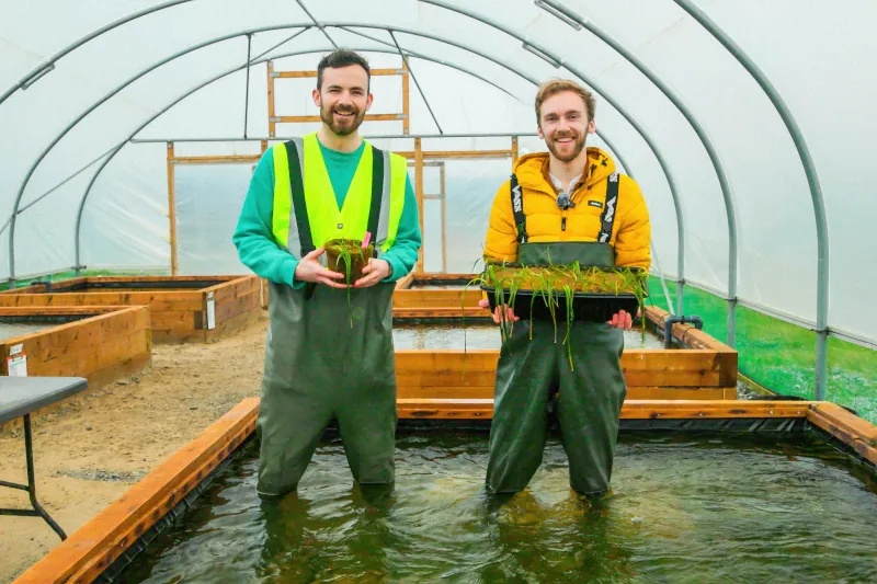 proyecto Mouser Project Seagrass 4