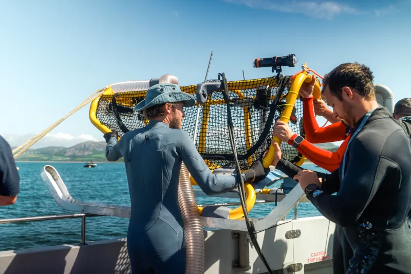 proyecto Mouser Project Seagrass 5